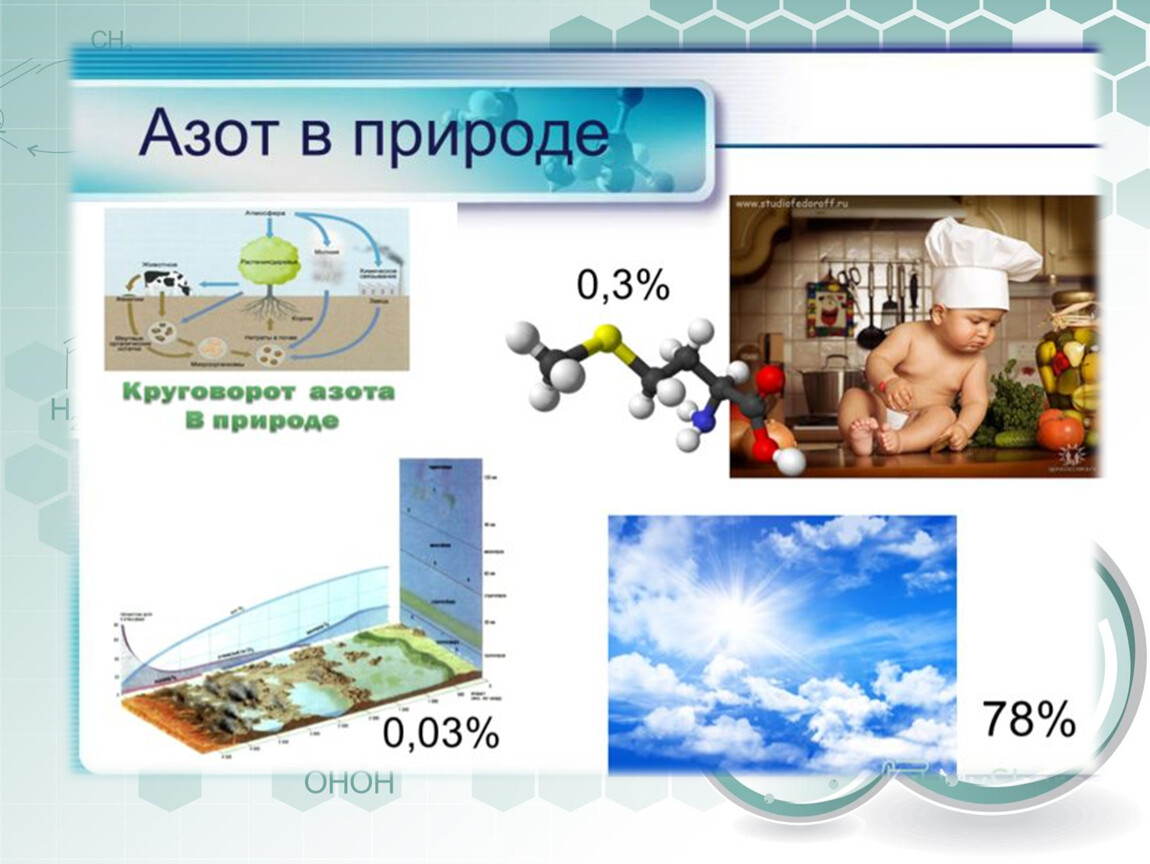 Азот в нашей жизни проект по химии