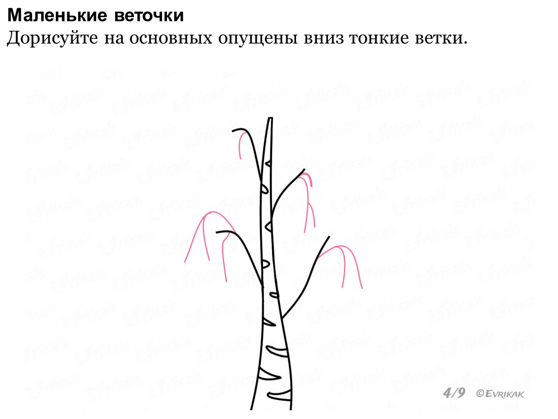 Картинка ствол березы без листьев для детей