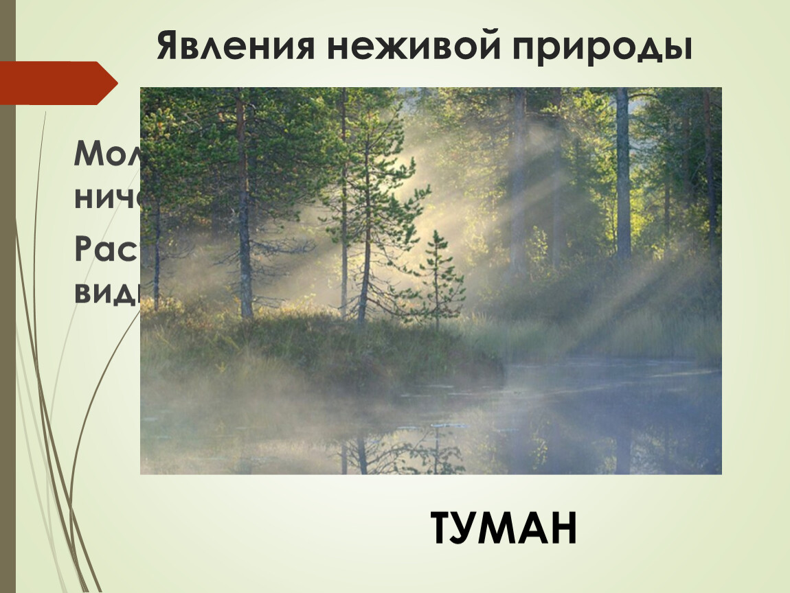 Примеры явлений неживой природы 2 класс. Явления неживой природы 2 класс. Воздух явление неживой природы. Явления неживой природы на Урале. Дождь явление неживой природы.