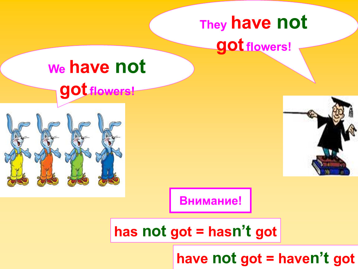 Has hasn t. Have got/haven t got правило. Have got has got презентация. Not has или hasn't got. Have got/has got или haven't got/hasn't got..