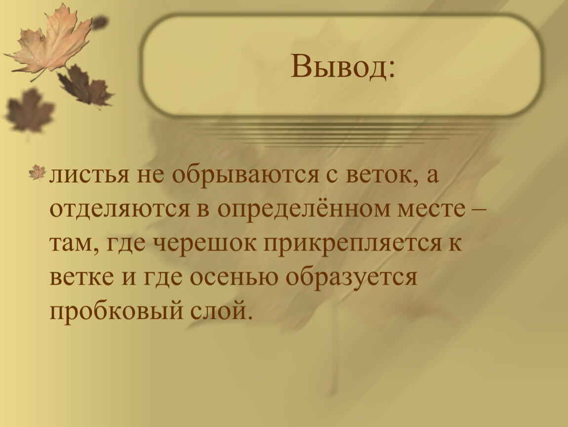 Вывести лист. Вывод лист это. Вывод листьев. Вывод по листьям. Лист с выводом презентация.