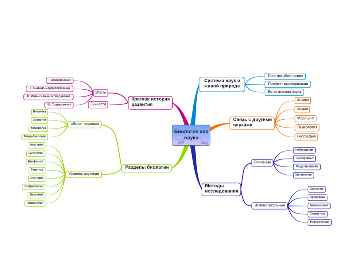 Ментальная карта биология 8 класс