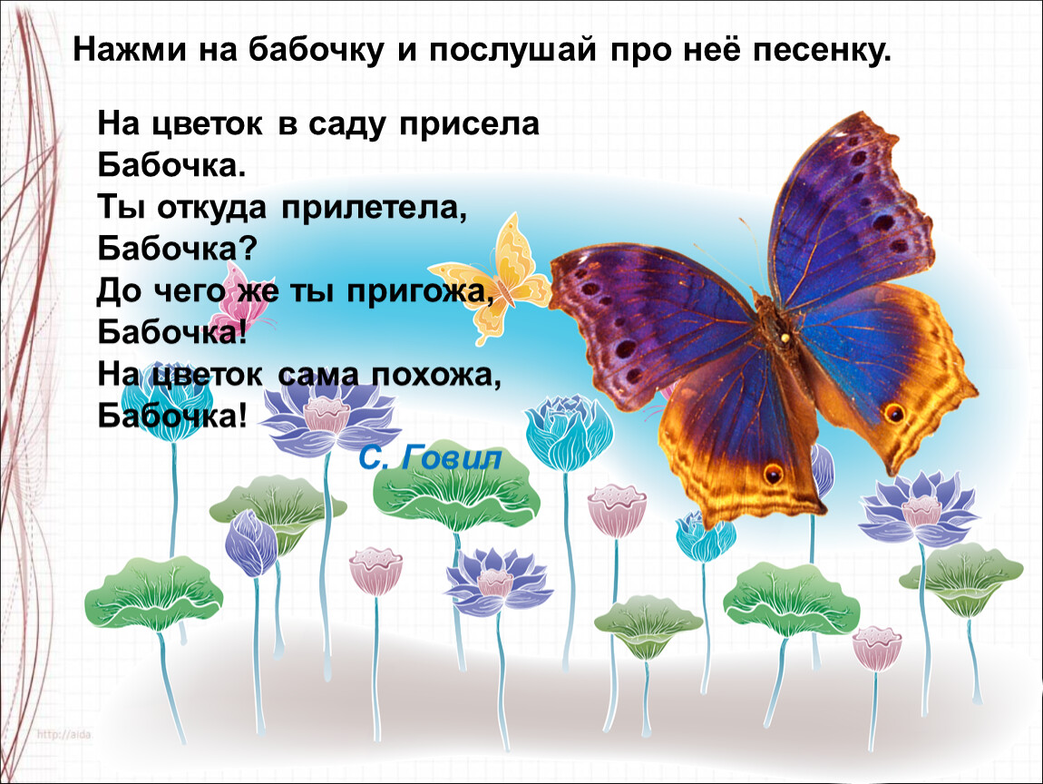 Загадка про бабочку для детей. Песенка про бабочку. Текст про бабочку для детей. Что делает бабочка присев на цветок. Какая бабочка песня