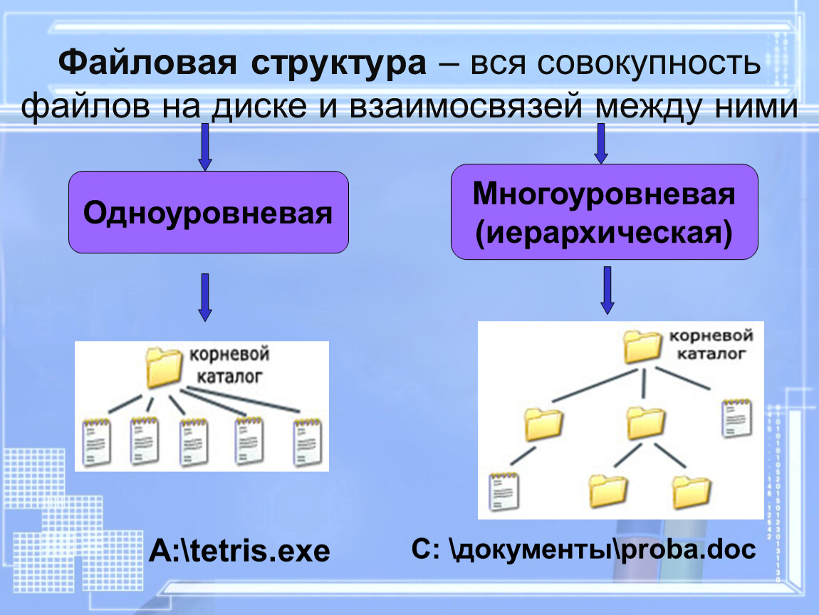 Файловые системы windows 7. Файловая структура. Иерархическая файловая структура. Структура файловой системы. Многоуровневая иерархическая файловая система.