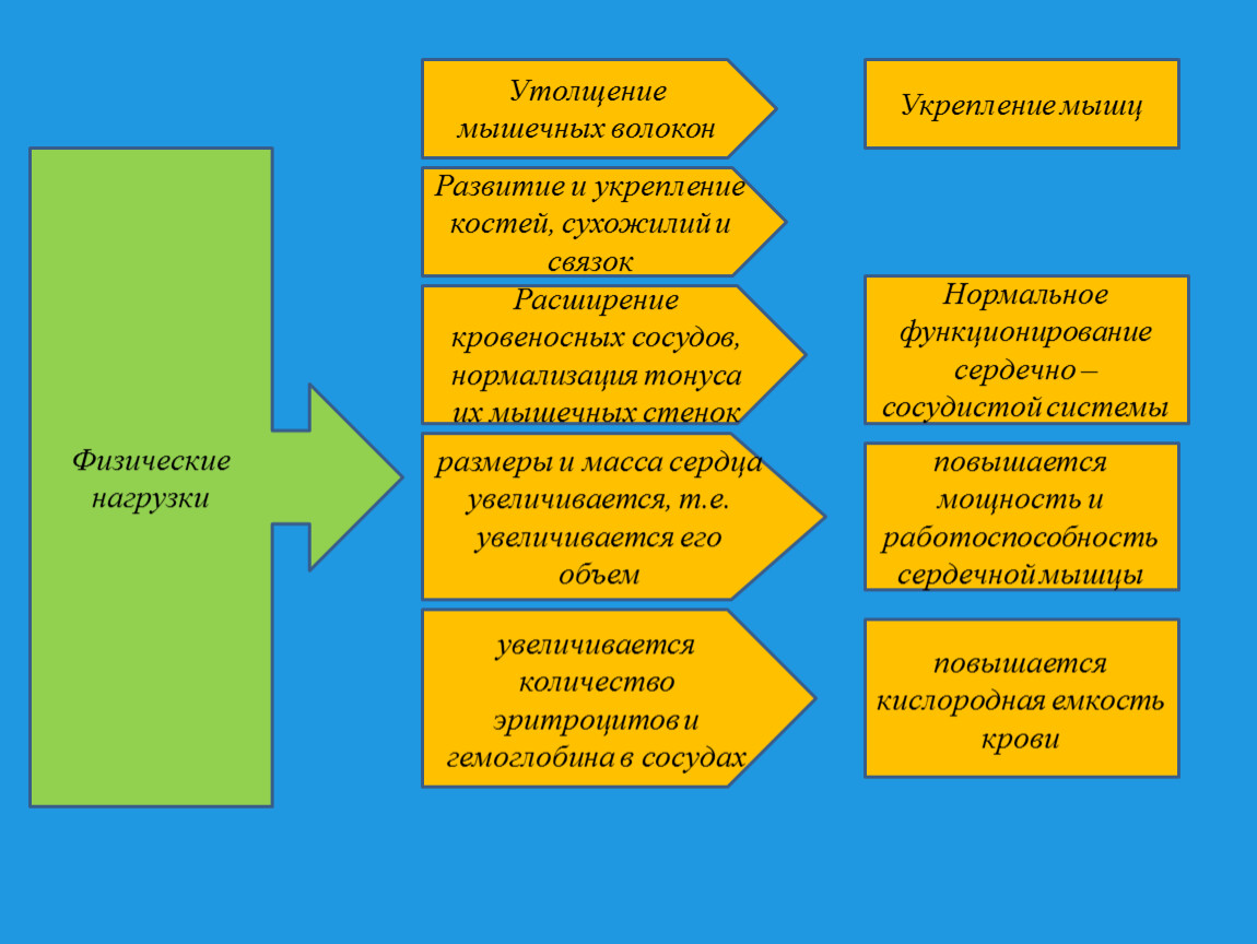 Отрицательное влияние физических нагрузок