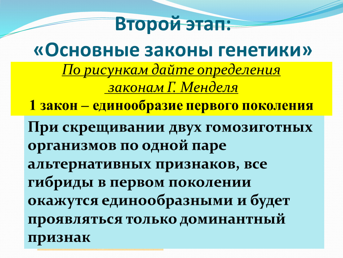 Презентация по биологии на тему 