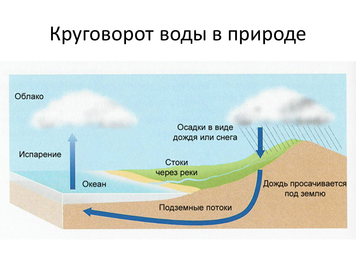 Ответ на вопрос вода. Круговорот воды схема 11 класс. Круговорот воды в природе схема 11 класс биология. Круговорот воды схема 9 класс биология. Внутриконтинентальный круговорот воды.