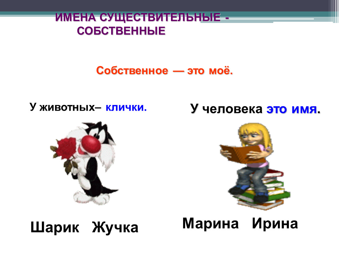 Текст 2 класс имена собственные и нарицательные. Имена собственные клички животных. Собственные и нарицательные имена существительные. Клички животных это имена собственные или нарицательные. Имена сущ собственные и нарицательные.