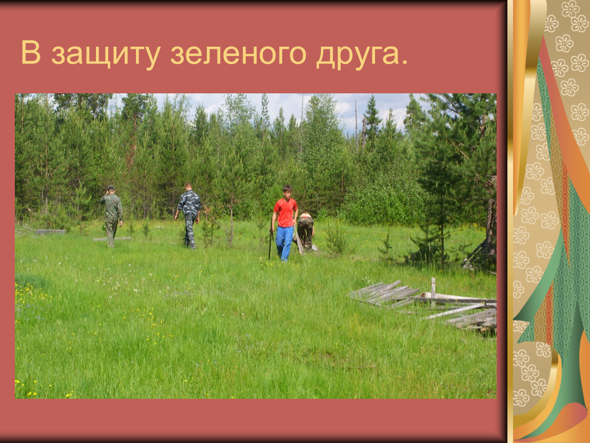 Зеленый друг. В защиту зеленого друга. Наши зеленые друзья. Зеленый друг человека. Презентация наши зеленые друзья для детей ср группа.