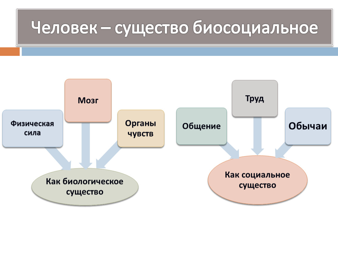 Схема биологическое и социальное существо. Схема человек биосоциальное существо. Схема человек биологическое и социальное существо. Биологические и социальное в человеке проект. Человек биосоциальное существо Обществознание 6 класс.