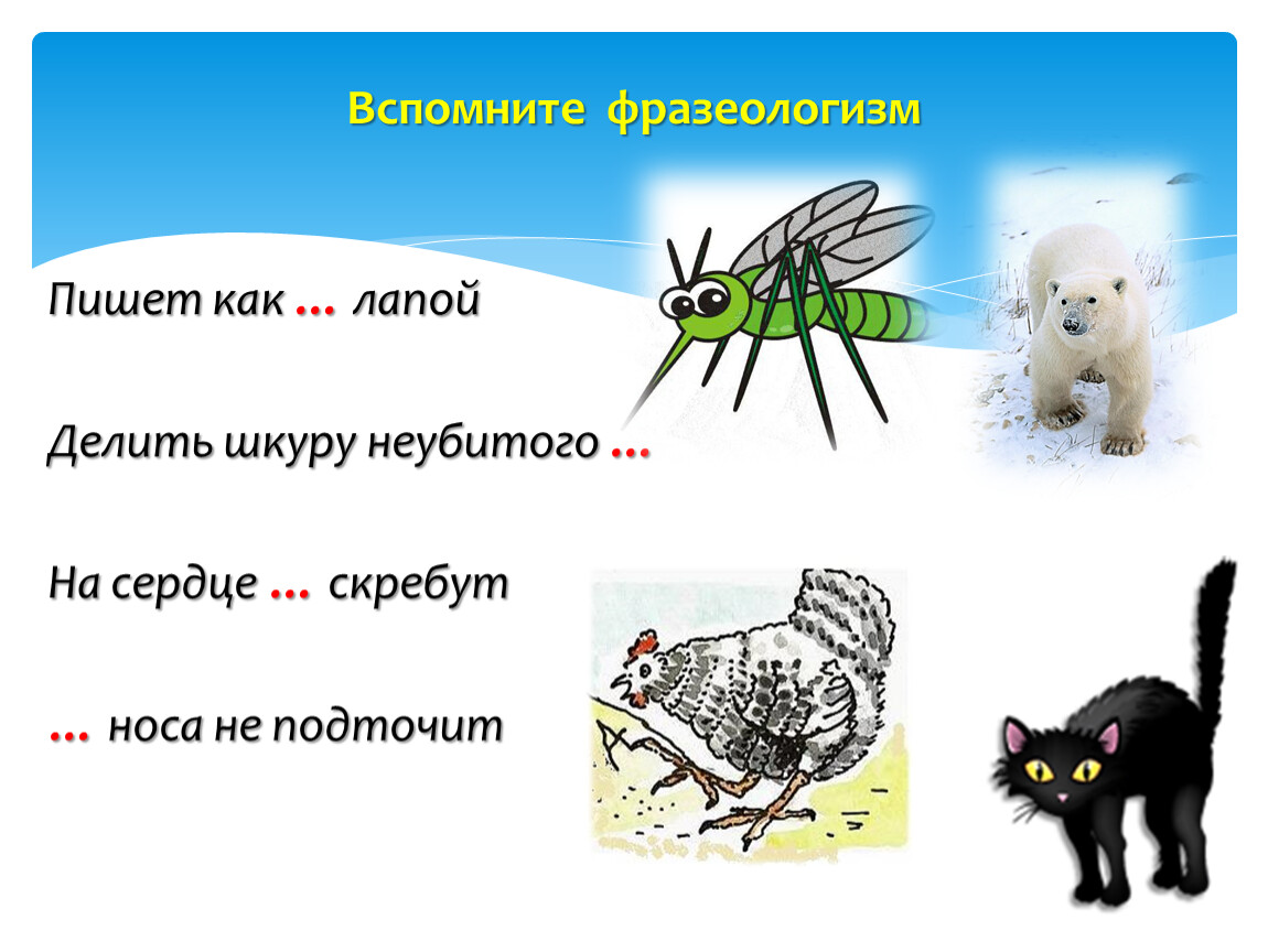 Вспомнить фразеологизмы. Смысл фразеологизма писать кошка лапой.