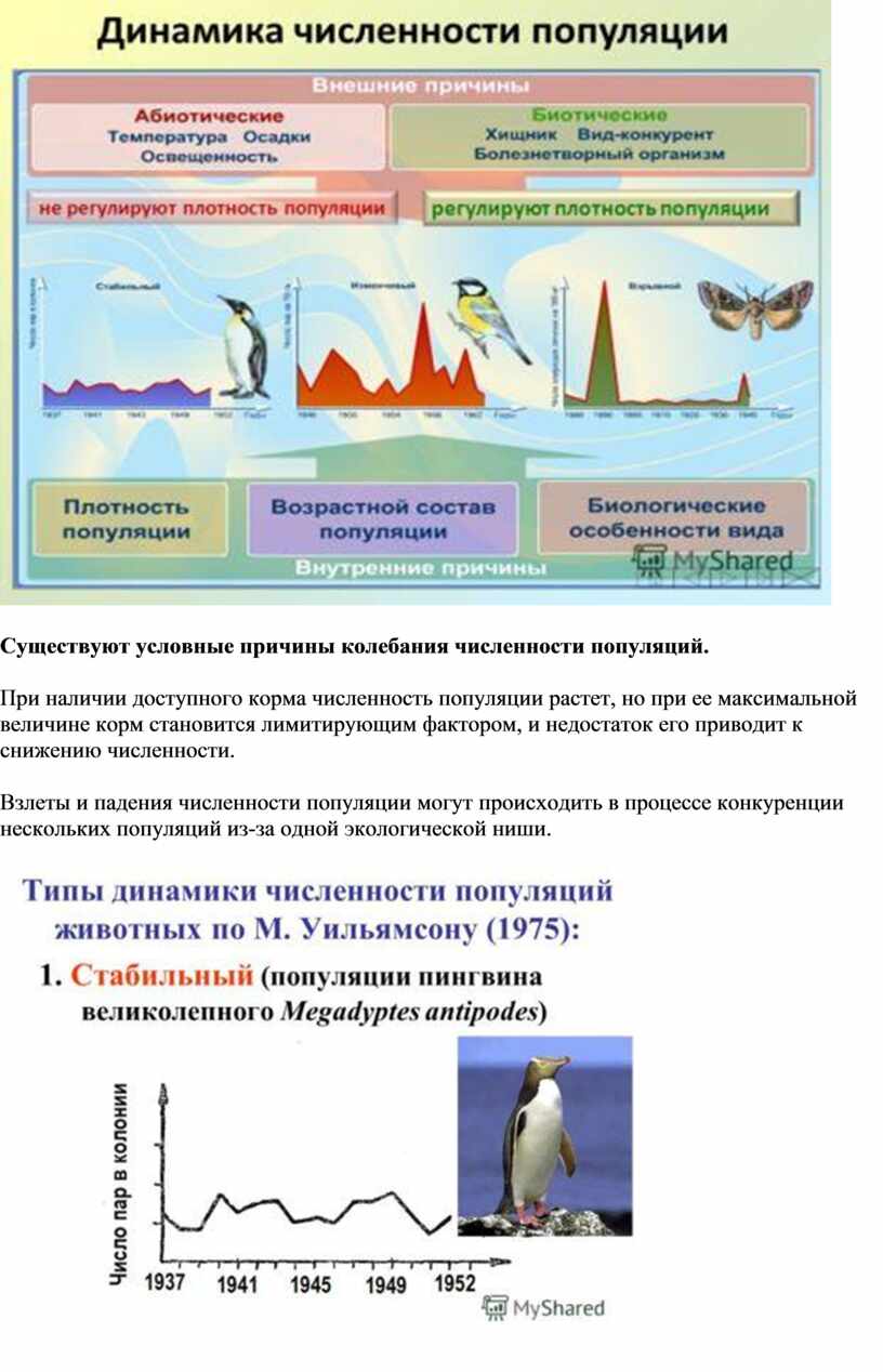 Колебания численности популяции