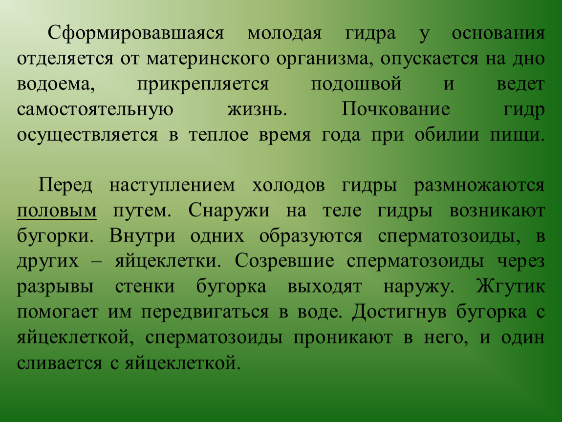 Плотный образованный. Организованность и стабильность биосферы. Уровни организованности биосферы. Физический уровень организованности биосферы. Функция биосферы организованность и стабильность биосферы.