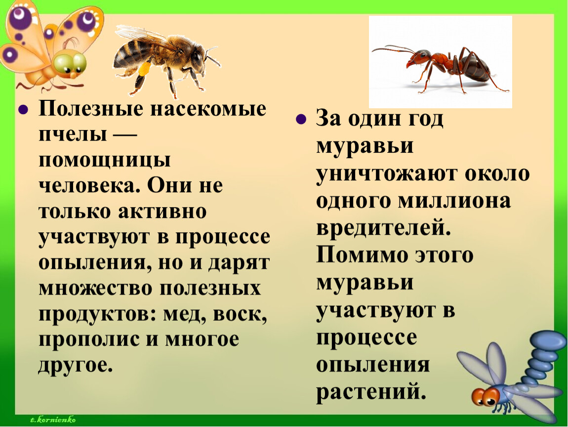 Полезные насекомые. Полезные насекомые для человека. Полезные и вредные насекомые. Пчела полезное насекомое.