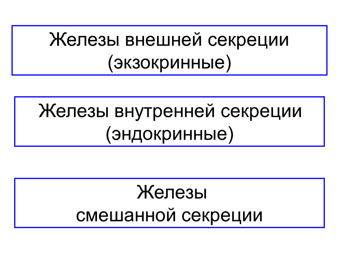 Внешние железы. Железы внешней секреции это в биологии 8 класс. Перечислите железы внешней секреции. Экзогенные железы внешней секреции. Железы внешнейсекркции:.