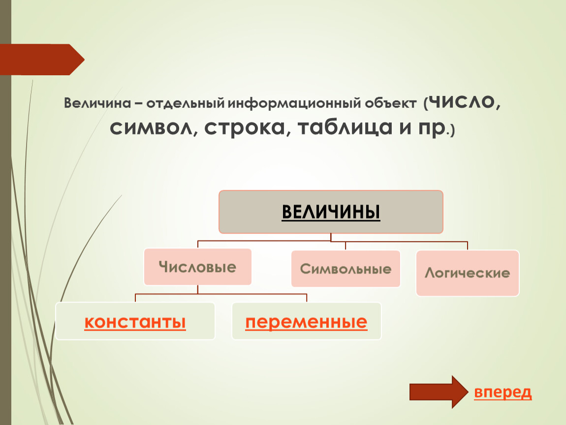 Отдельный величина. Информационный объект таблица. Информационный объект число символ таблица. Информационный объект строка символ. Информационный объект число строка таблица.