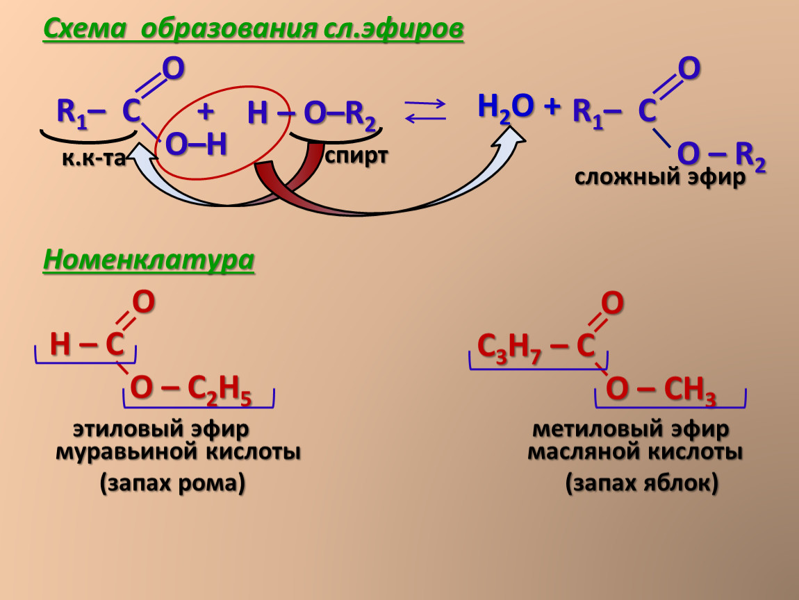 Муравьиная кислота и метанол реакция. Этиловый эфир карбоновой кислоты формула. Схема образования сложного эфира. Образование масляной кислоты. Сложный эфир муравьиной кислоты.