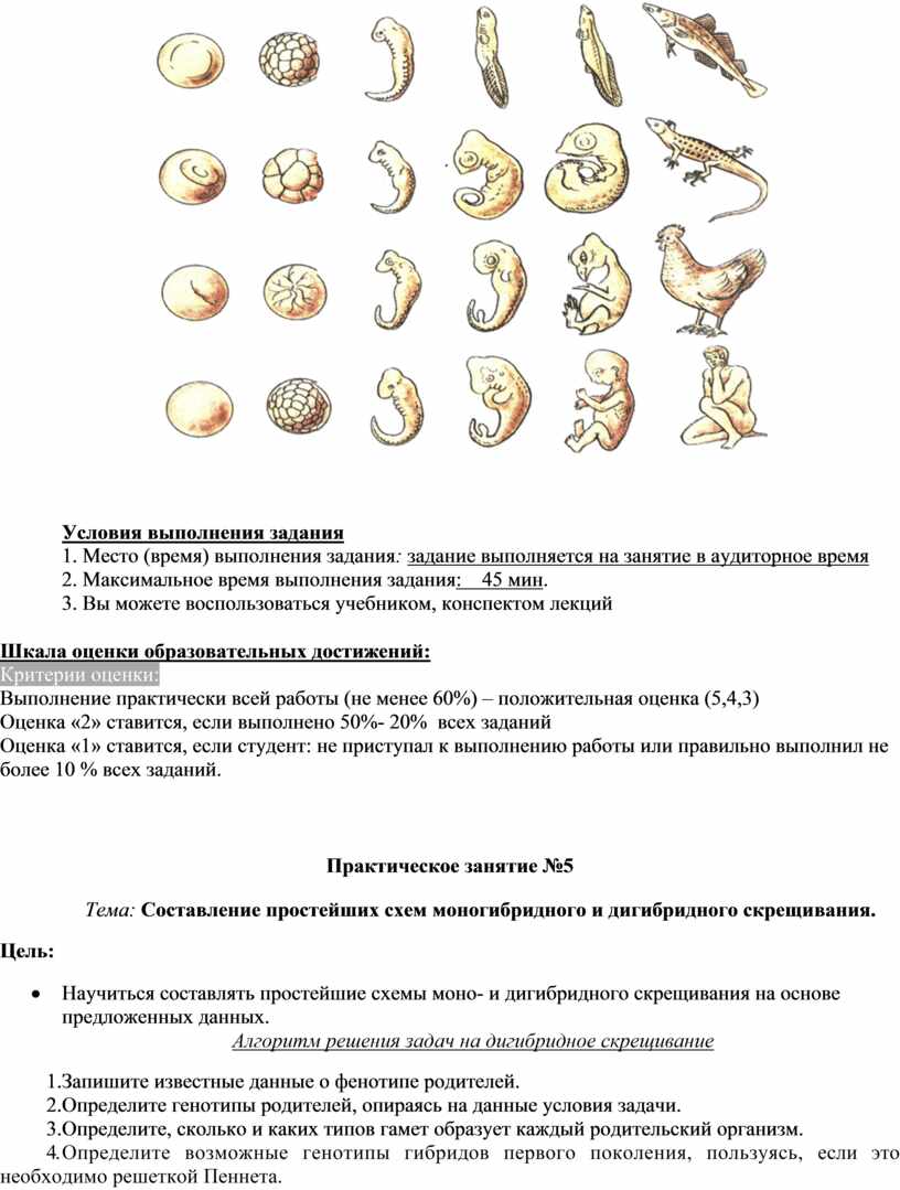 МСХ Биология ФОС ТА