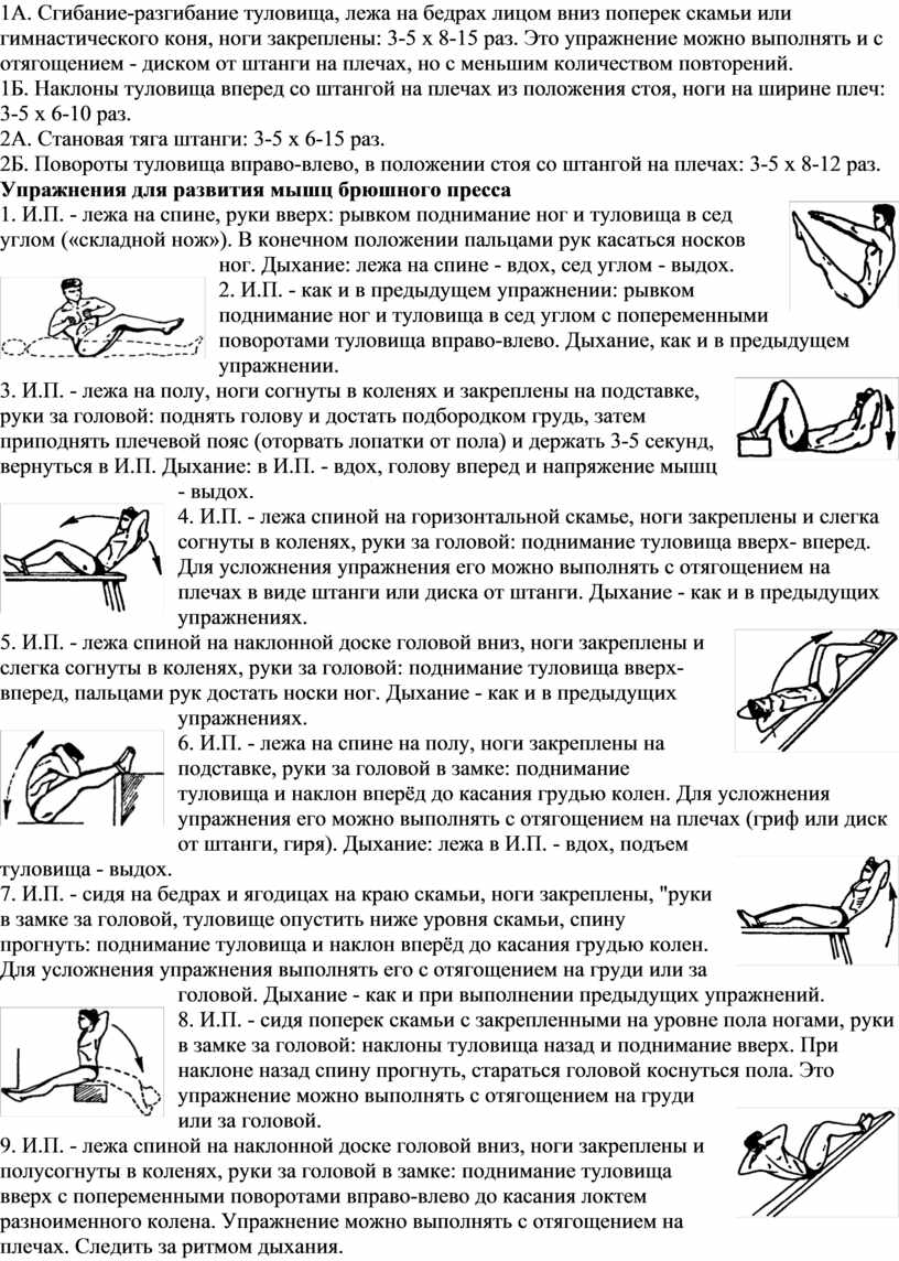 Разгибание ноги в коленном суставе осуществляет