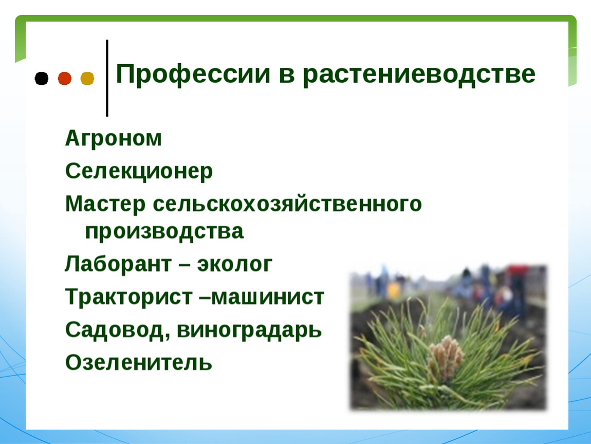 Технологическая карта урока растениеводство 3 класс школа россии