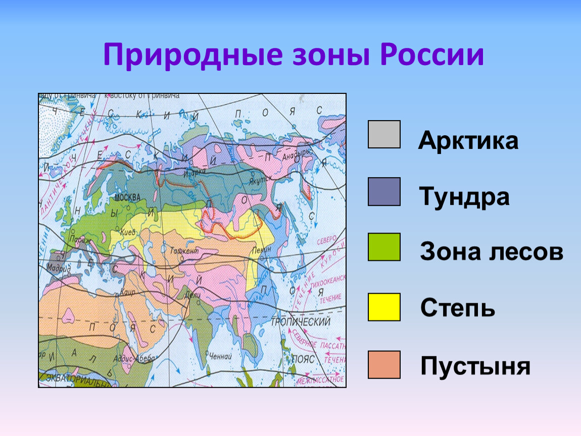 Подготовка к природным зонам. Карта природных зон России 4 класс окружающий мир. Карта природные зоны России 4 класс окружающий мир природные зоны. Природные зоны окруж мир 4 класс. Природные зоны тундры 4 класс окружающий мир на карте.