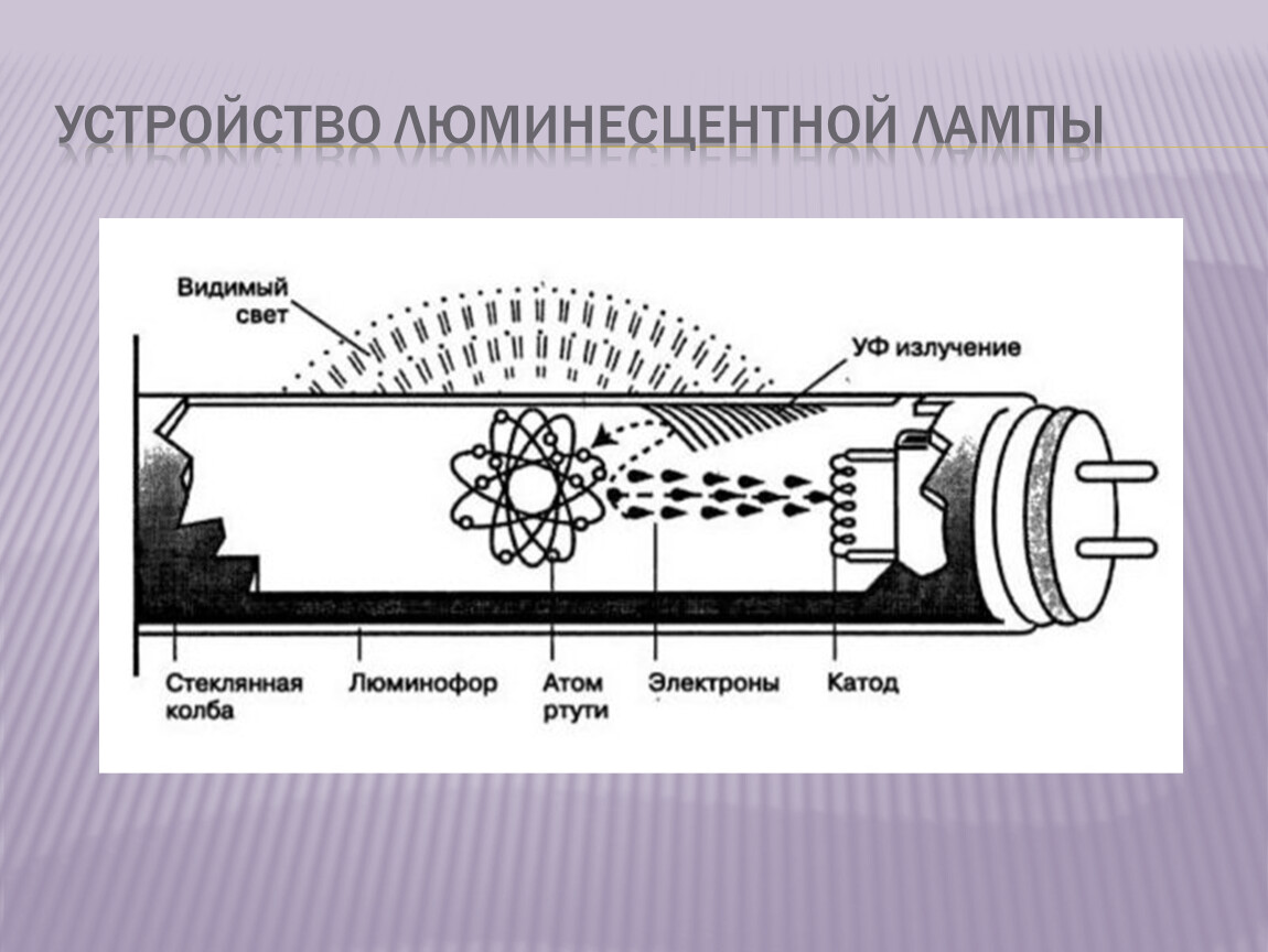 Устройство строения. Строение люминесцентной лампы схема. Люминесцентные лампы конструкция схема. Конструкция люминесцентной лампы. Строение люминесцентной лампы.