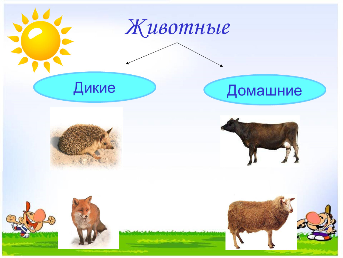 Домашние и дикие животные 1 класс презентация