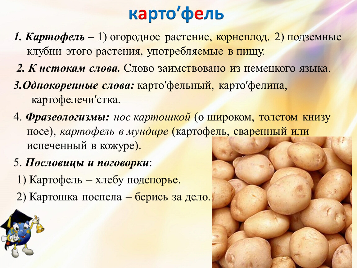 Как переводится картофель. Картофель однокоренные слова. Однокоренные слова к слову картофель. Слова картофель и картошка. Однокоренные слова к слову картошка.