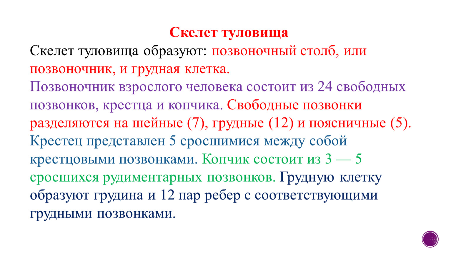 Характеристика туловища. Морфофункциональная характеристика скелета туловища. Морфофункциональная характеристика аппарата движения. Морфофункциональные особенности скелета туловища. Дать морфофункциональную характеристику скелета туловища..