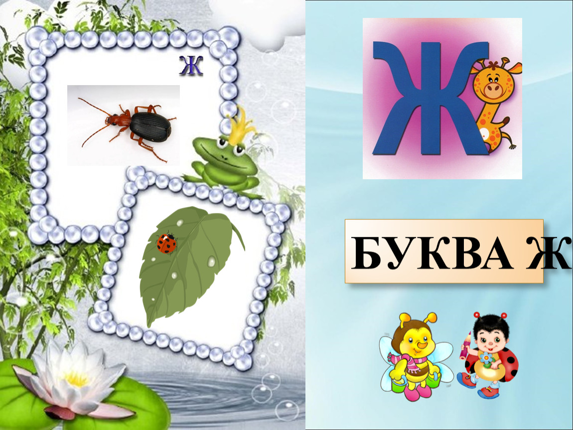 Буква ж 1 класс. Буква ж презентация. Проект буква ж для первого класса. Проект Живая буква ж. Живая Азбука буква ж.