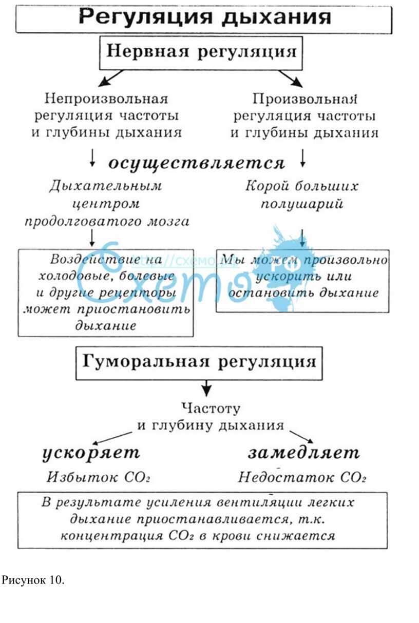 Методическая разработка 