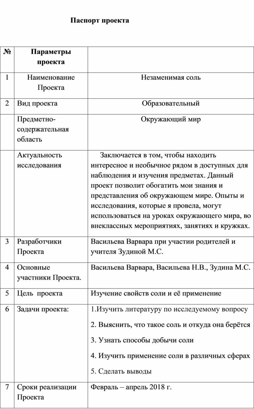 Паспорт проекта образец