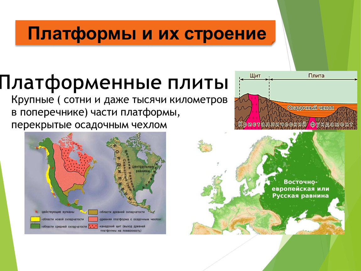 Складчатую тектоническую структуру. Тектонические плиты. Тектонические платформы. Европейская плита тектоническая. Строение тектонических плит.