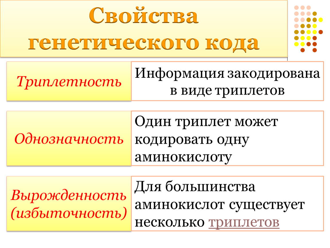 Какой формы память не существует a генетическая b прижизненная c запечатлевающая d оценочная