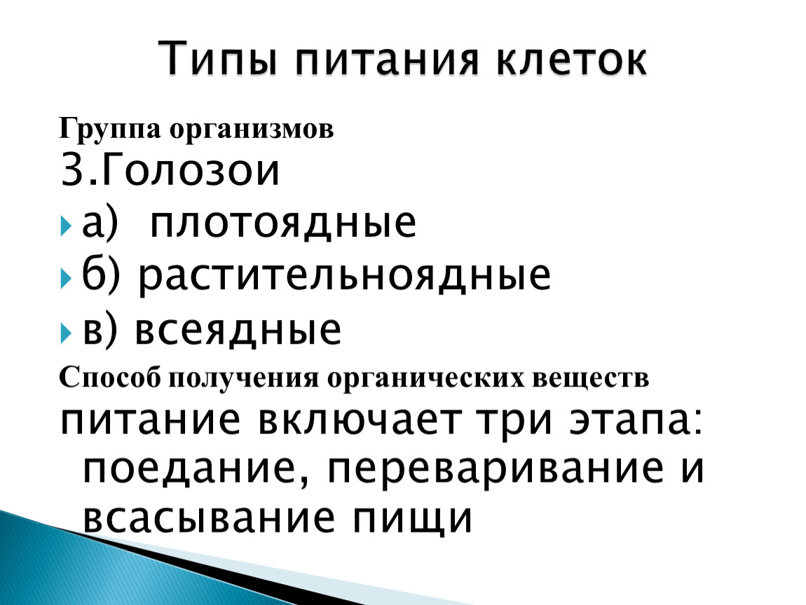 Типы питания клеток. Гетеротрофы голозои. Голозои растительноядные. Голозои бактерии. Гетеротрофы голозои примеры.