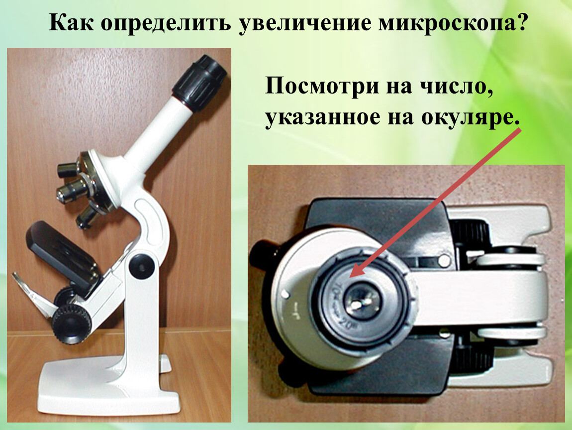Какое увеличение дает данный микроскоп как узнать. Увеличение микроскопа. Определите увеличение микроскопа. Как определить увеличение микроскопа. Как узнать увеличение микроскопа.