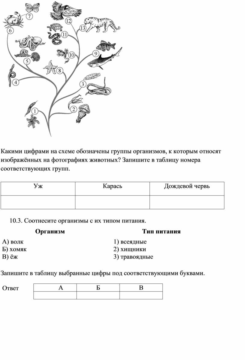 Рассмотрите схему отражающую развитие растительного мира земли впр ответ