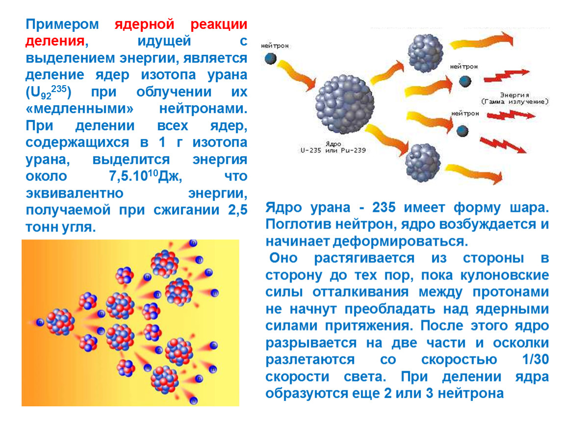 В ядре изотопа больше. Цепная реакция деления ядер урана ядерный реактор. Физика 11 деление ядер урана. Цепная реакция деления. Ядерные реакции деление ядер 8 класс. Ядерная реакция деления урана.