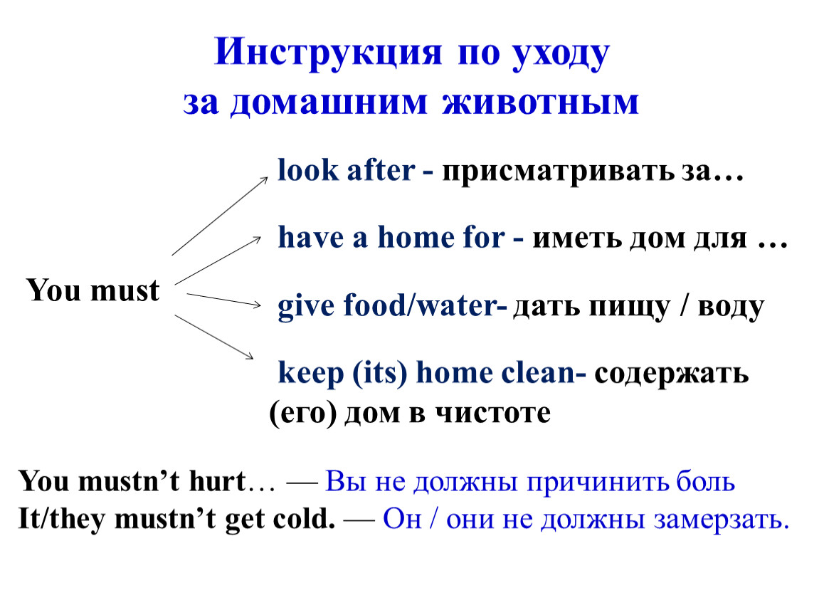 Презентация по английскому языку в 3 классе 