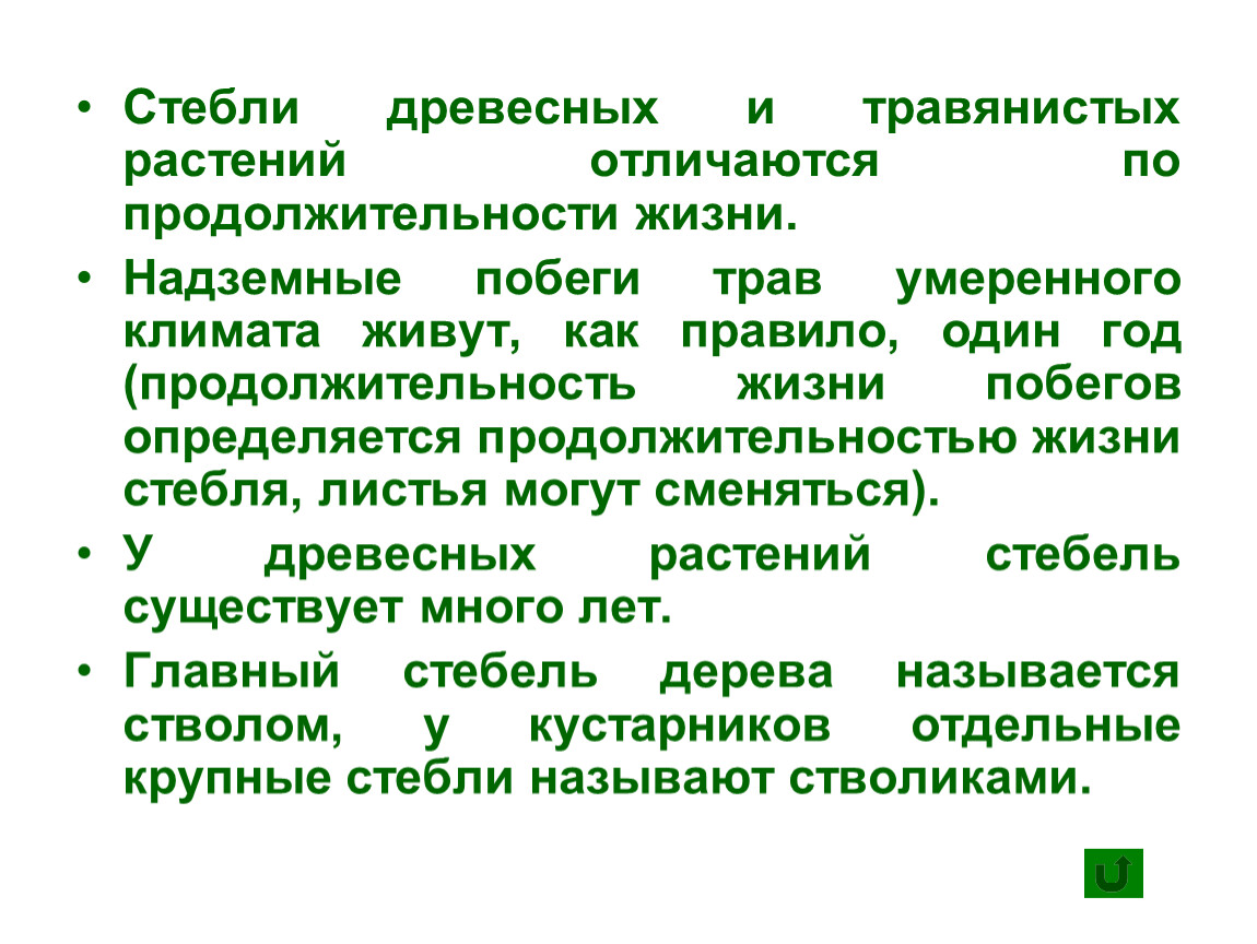 Деревянистый стебель. Отличия стеблей древесных растений. Продолжительность жизни деревянистых стеблей. Травянистые и деревянистые стебли. Древесный стебель.