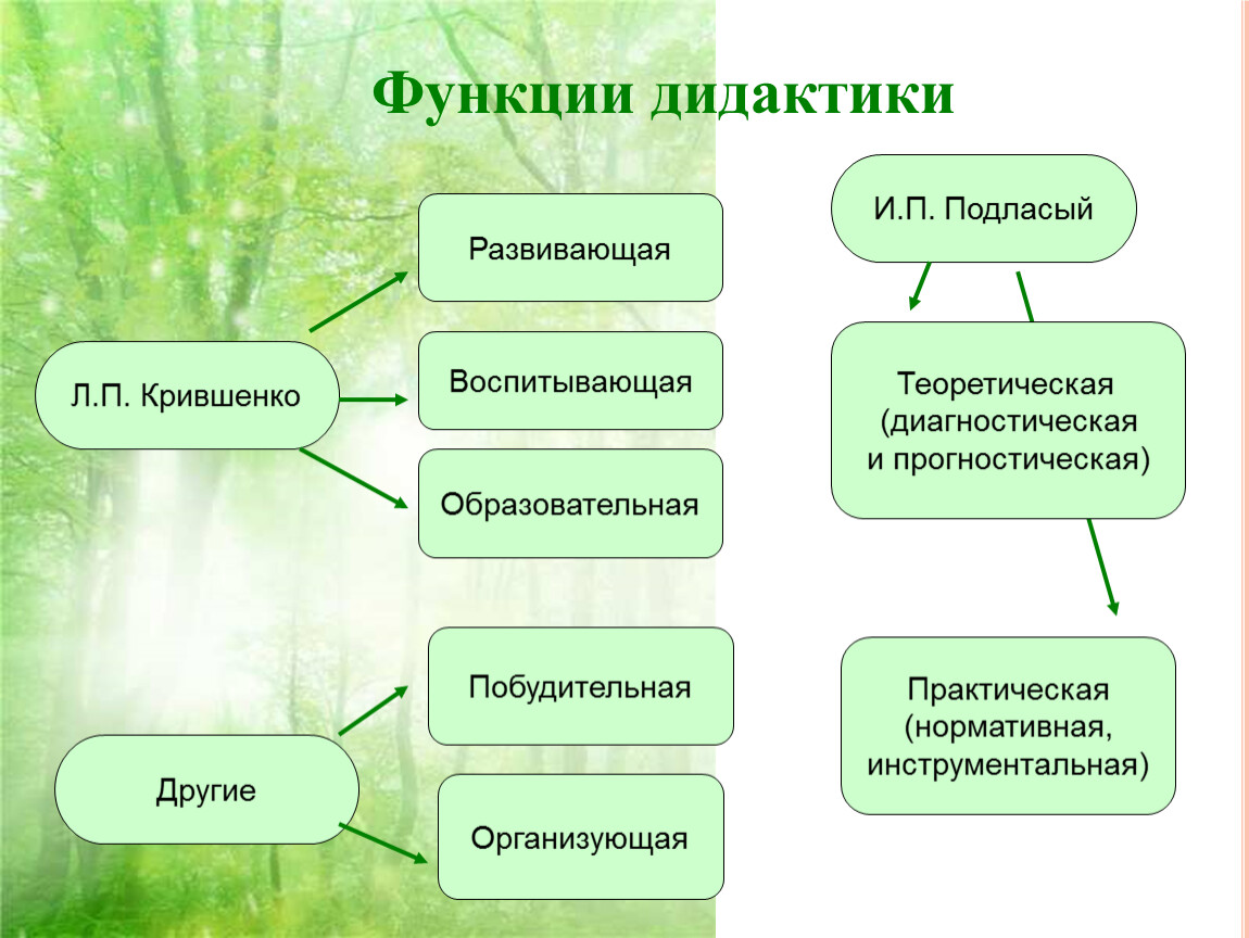 Функция дидактики связана с конструированием проекта педагогической