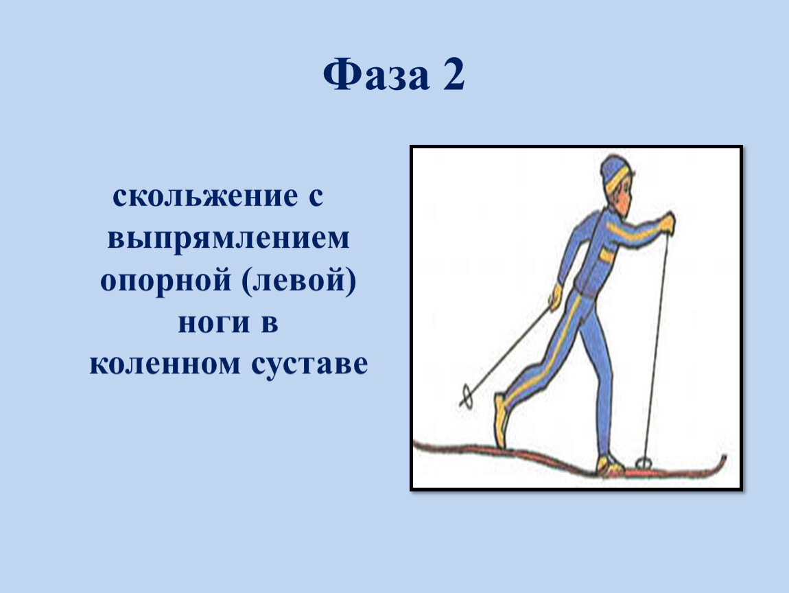 Скольжение увеличивает. Скольжение с выпрямлением опорной (левой) ноги в коленном суставе. Скольжение с выпрямлением опорной ноги. Фазы скольжения на лыжах. Свободное скольжение на лыжах.