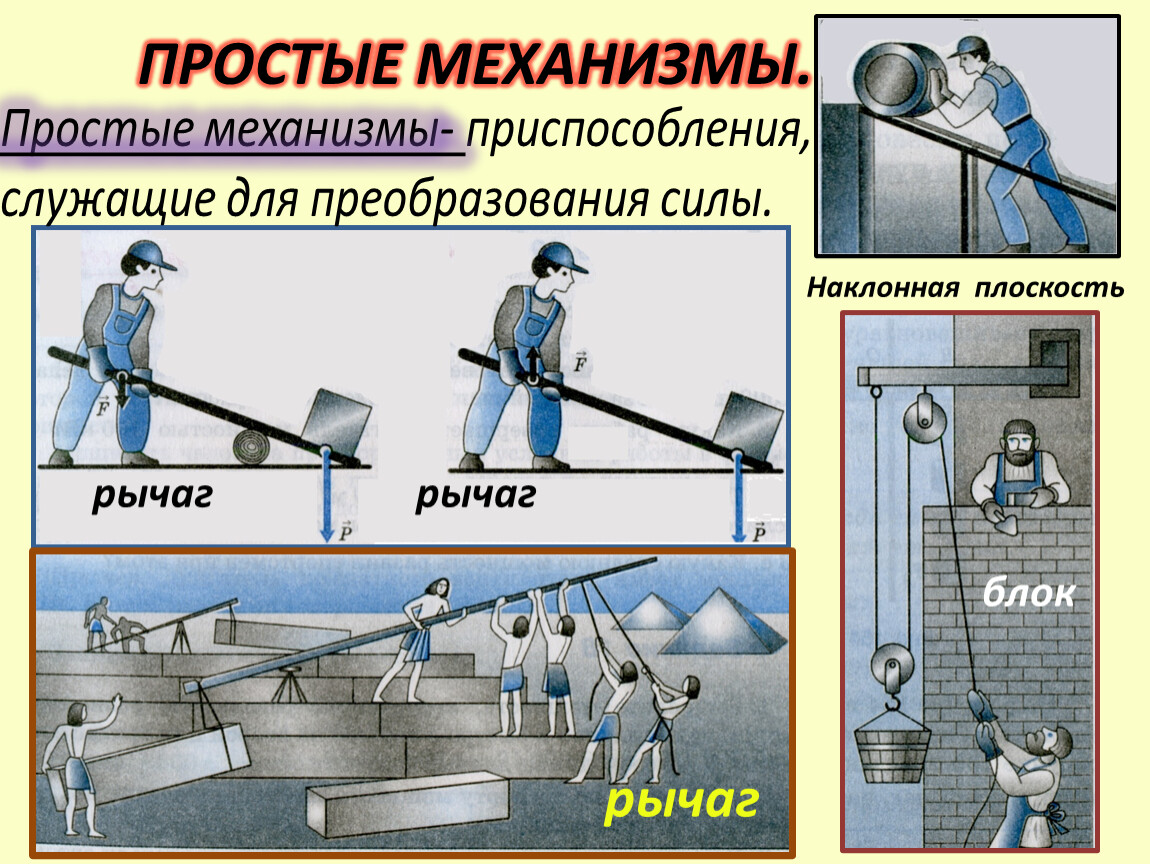 Механизмы приспособления