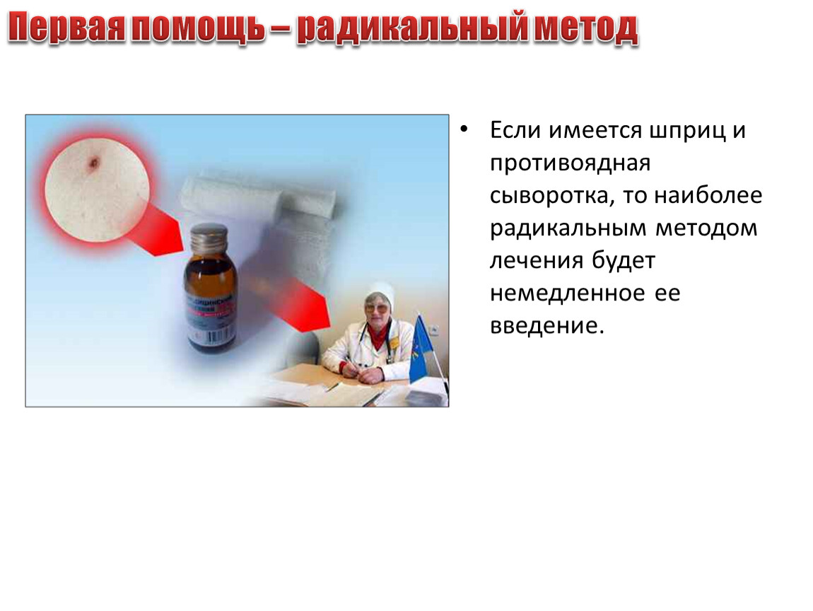 Супрастин при укусах насекомых. Антибиотики при укусе насекомых. Сыворотка при укусе змеи. Презентация на тему первая помощь при укусах. Сыворотка против укуса гадюки.