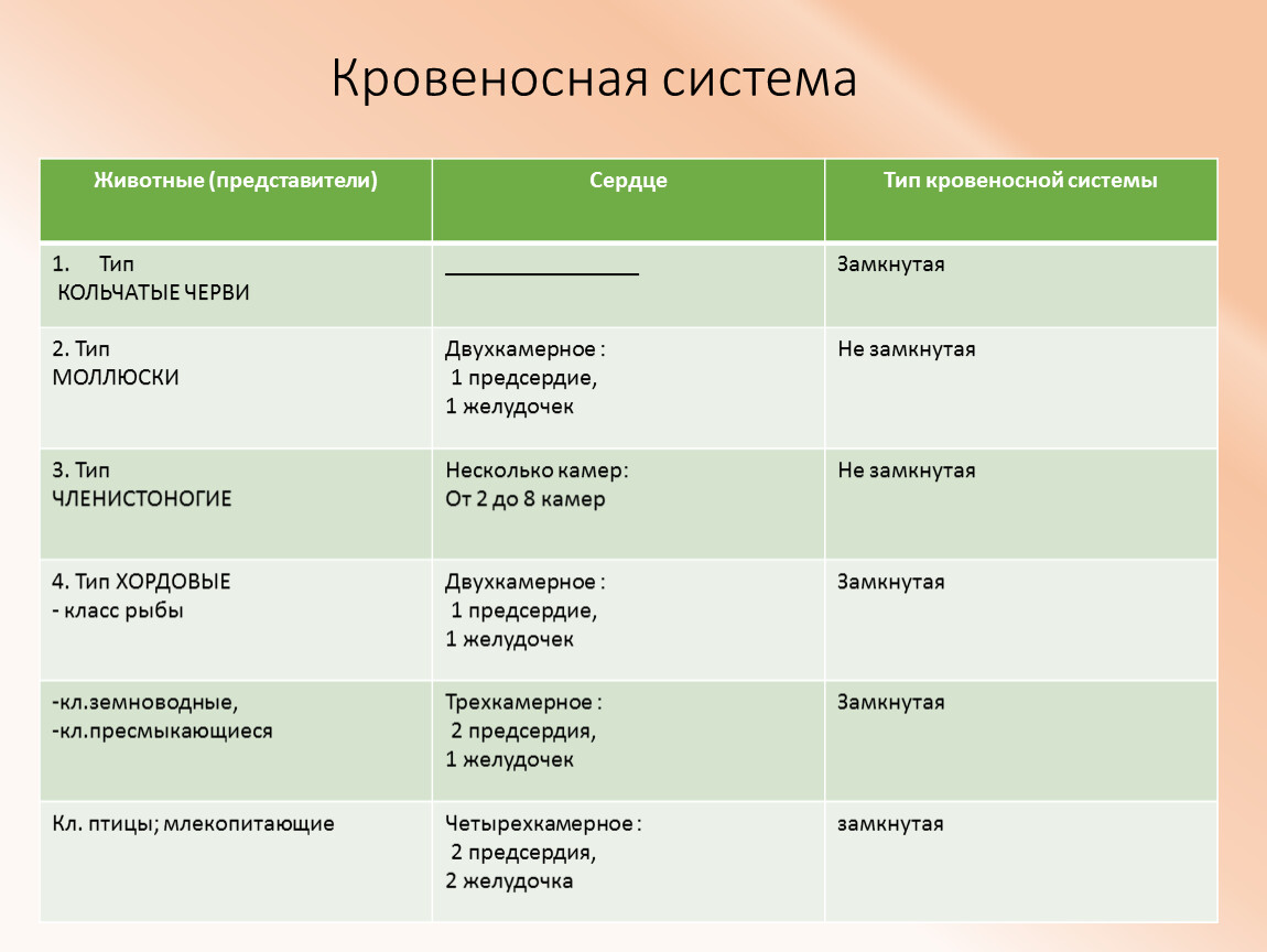 Передвижение веществ у животных 6 класс