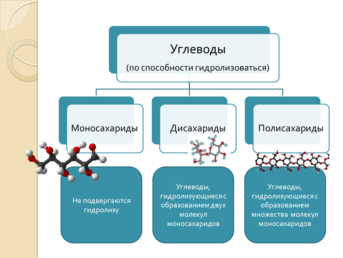 Какие углеводы подвергаются гидролизу. Таблица моносахариды дисахариды полисахариды строение молекул. Углеводы которые гидролизуются. Углеводы не подвергающиеся гидролизу. Углеводы моносахариды дисахариды полисахариды.