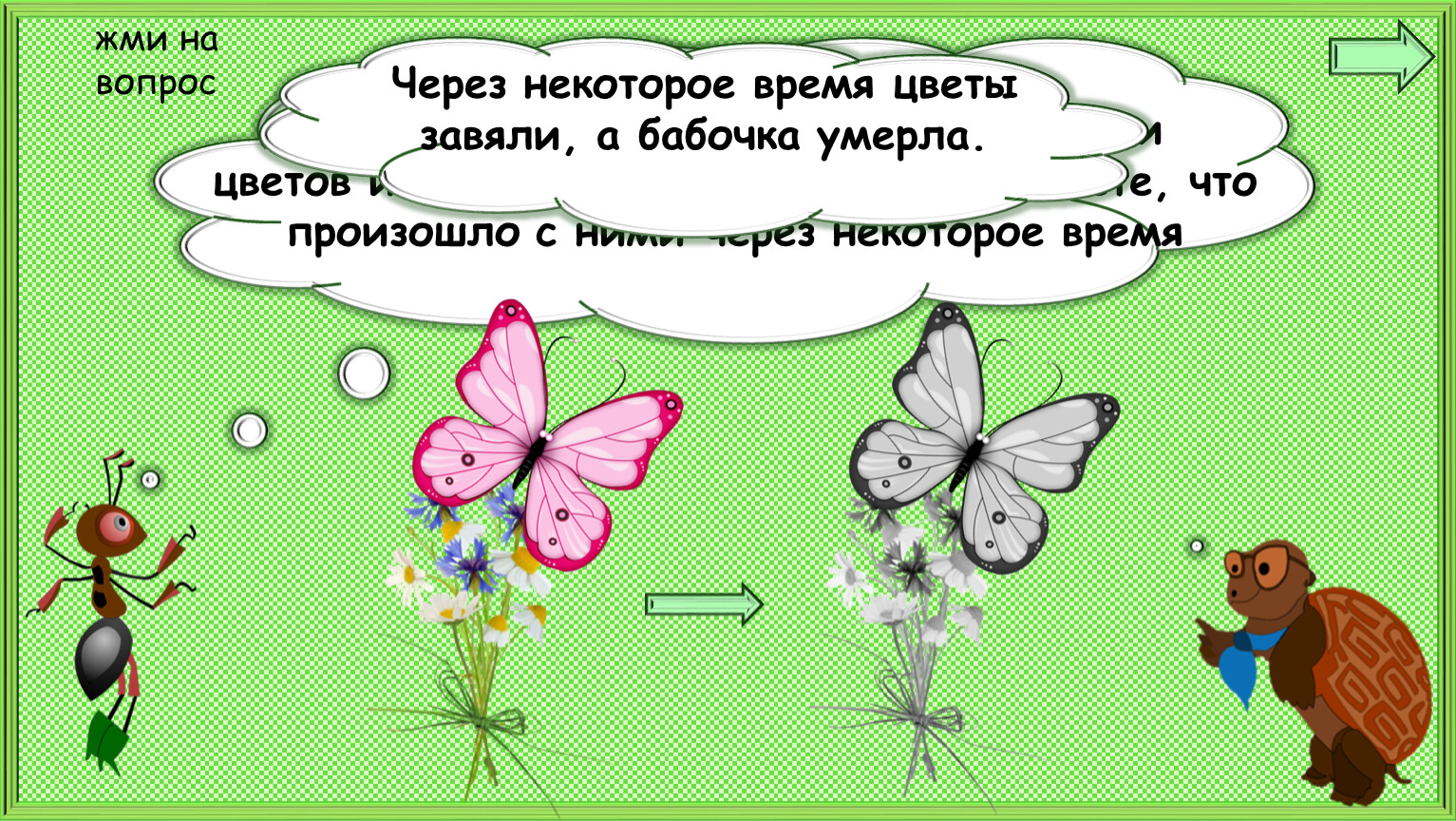 Каких бабочек нельзя увидеть днем на лугу. Почему нельзя ловить бабочек. Окружающий мир 1 класс цветы и бабочки. Бабочки 1 класс окружающий мир. 1 Класс бабочка на цветке.