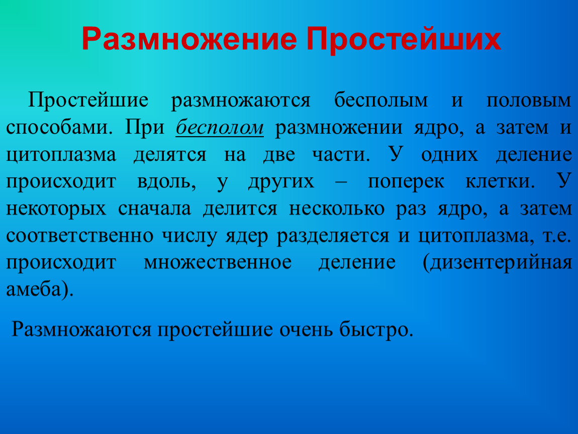 Простапрост. Размножение простейших животных.