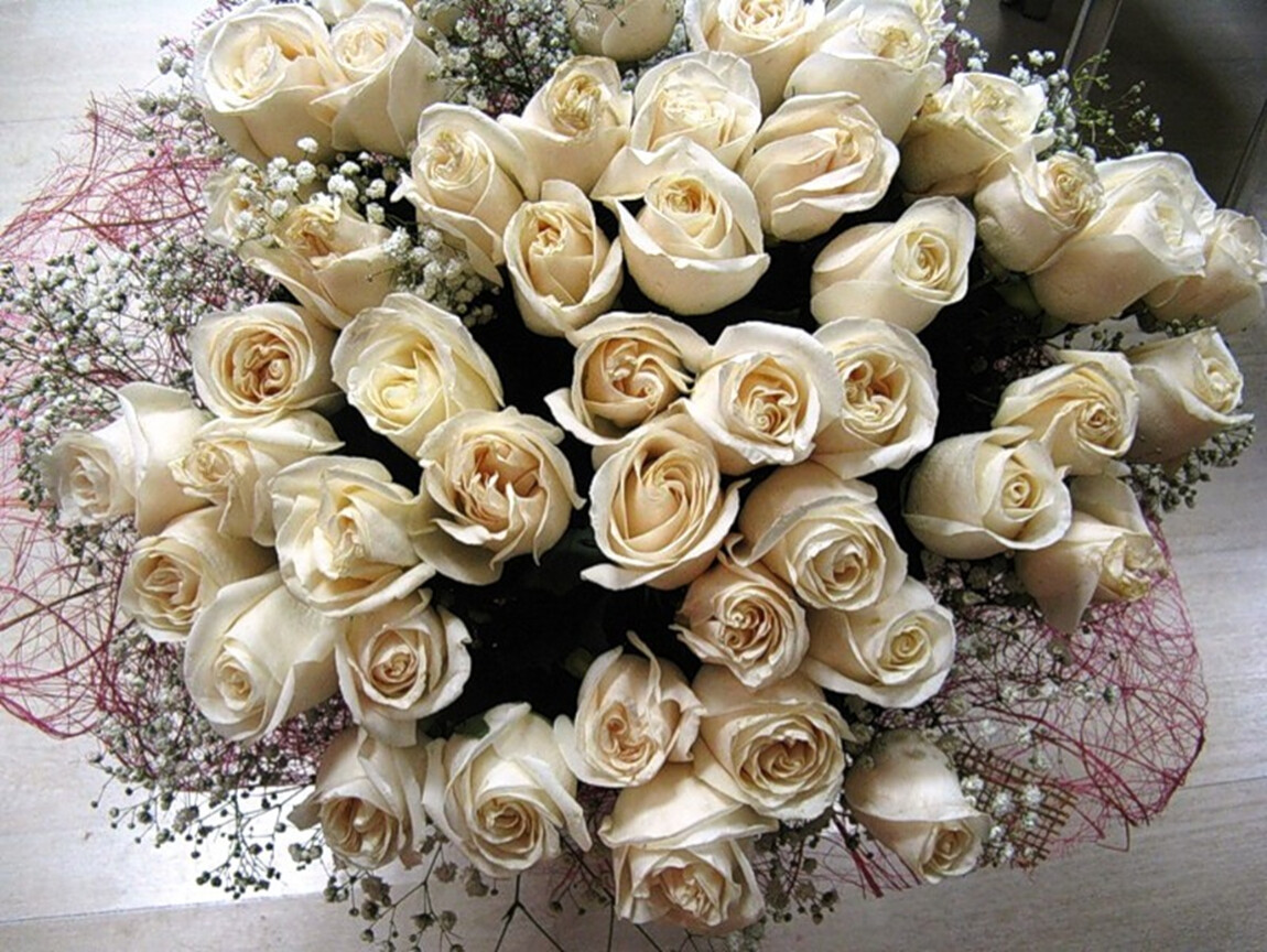 Песня ах белые розы. Огромный букет белых роз. Шикарный букет белых роз. Красивый букет из белых роз. Букет из белых роз оригинальный.