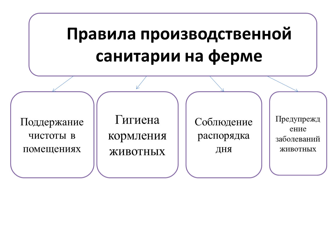 Основы производственной информации